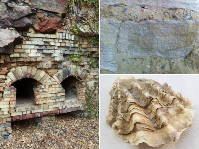 Lime mortar made with oysters